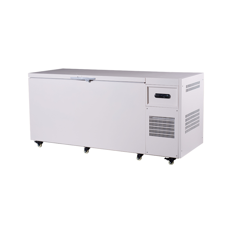 Solutions de stockage à très basse température Big 600 L (-80 °C) pour usage médical et en laboratoire