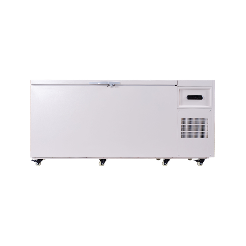 Solutions de stockage à très basse température Big 600 L (-80 °C) pour usage médical et en laboratoire