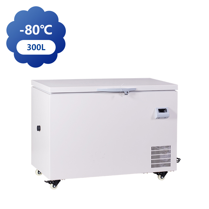 Congélateurs ULT 300L -80C avec technologie VIP et système de refroidissement haute performance