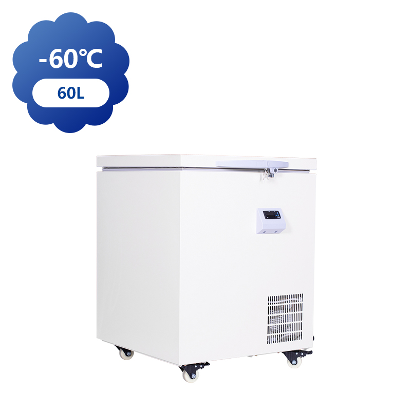 Mini congélateur thoracique -60°C pour le stockage médical