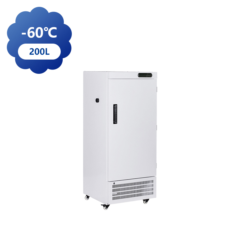 Congélateur 200L -60°C pour laboratoires biomédicaux