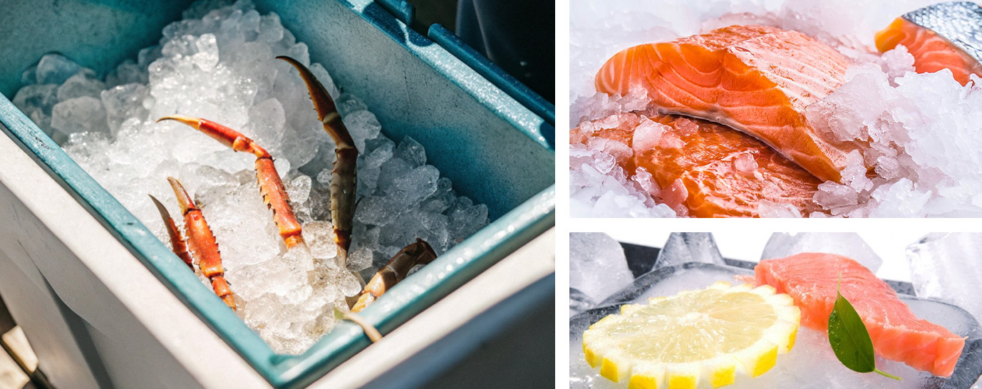 Congélateurs de fruits de mer